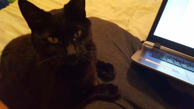 73358283_957995791239028_6638440266040606720_n